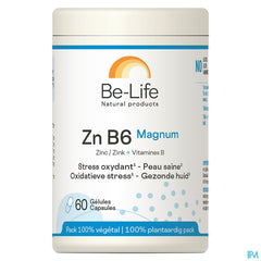 Zn B6 Magnum Minerals Be Life Gel 60