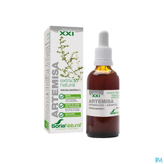 Soria Artemisia Vulgaris Xxi Extr.glyc 50ml