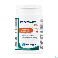 ERGYCARTIL Flex 90 Gél.