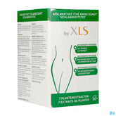 Xls The Amincissant Sach 24