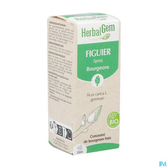Herbalgem Figuier Bio Spray 15ml