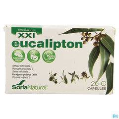 Soria 26c Eucalipton Xxi Caps 30
