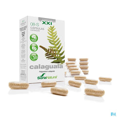 Soria 8-s Calaguala Xxi Caps 30