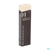 Couleurs De Noir Conceal Shaping Kit 01