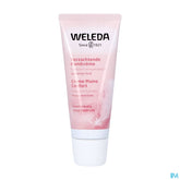Weleda Amande Creme Mains Confort Tube 50ml Nf