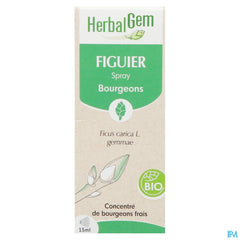 Herbalgem Figuier Bio Spray 15ml