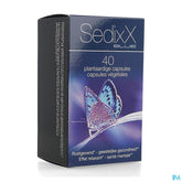 Sedixx Bleu Caps 40