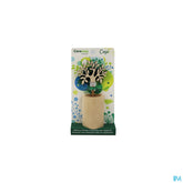 Careway Aroma T Diffuseur Capi Bois