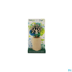 Careway Aroma T Diffuseur Capi Bois