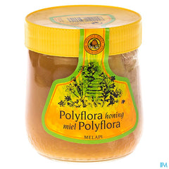Melapi Miel Polyflora Tendre 500g 5531 Revogan