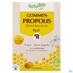 Herbalgem Propolis Large Spectre Bio Gommes 24