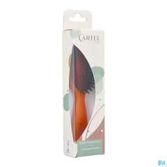 BROSSE PNEUM. SANGLIER SAC COULEUR (ASIE)