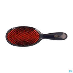 BROSSE PNEUM . SANGLIER LARGE (ASIE)
