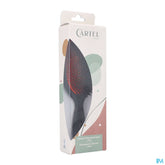 BROSSE PNEUM . SANGLIER LARGE (ASIE)