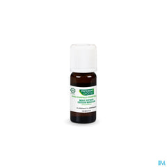 Phytosun® Huile Essentielle Basilic Bio 10ml