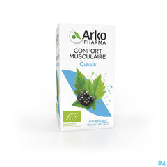 Arkopharma Arkogélules Cassis Bio Mobilité Articulaire 45 Gélules