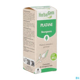 Herbalgem Platane Bio 30ml
