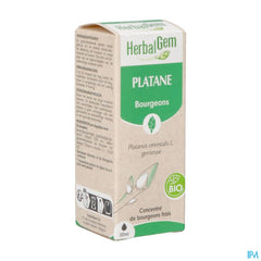 Herbalgem Platane Bio 30ml