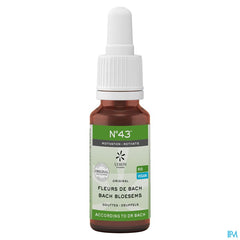 Fleurs de Bach Bio N°43 Gouttes Motivation 20ml