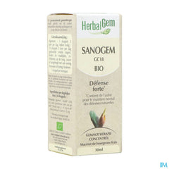 Herbalgem Sanogem Bio 30ml