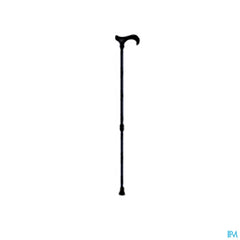 Sanico Canne Marche Derby Aspect Cuir Mq 524