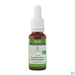 Fleurs de Bach Bio N°43 Gouttes Motivation 20ml