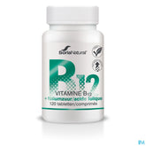 Soria Vitamine B12+acide Folique 250mg Comp 120