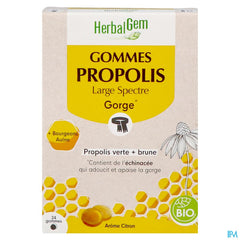 Herbalgem Propolis Large Spectre Bio Gommes 24