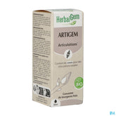 Herbalgem Artigem Bio 30ml