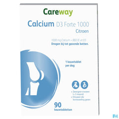 Careway Calcium Forte 1000/880 Comp 90