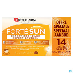 EXPERT BRONZAGE