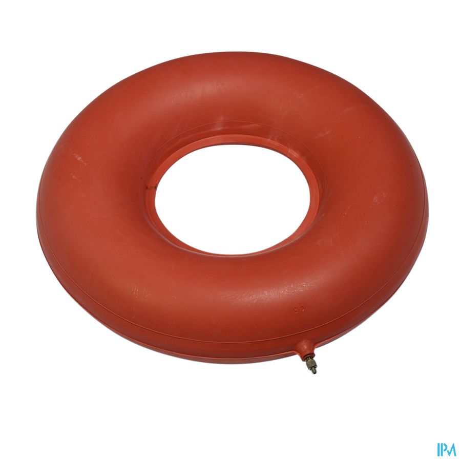 COUSSIN CAOUTCHOUC GONFLABLE \ 45 cm