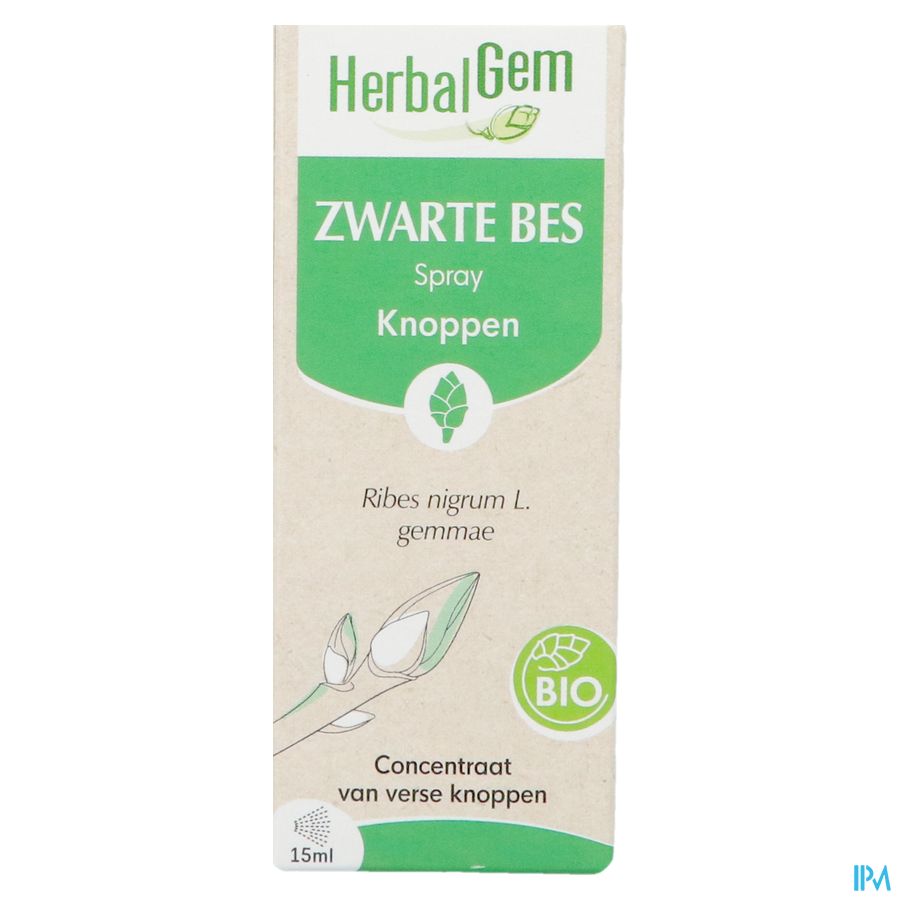 Herbalgem Cassis Bio Spray 15ml