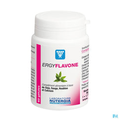 Ergyflavone Pot Gel 60 Cfr 2714194