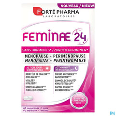 Feminae 24 Comp 60