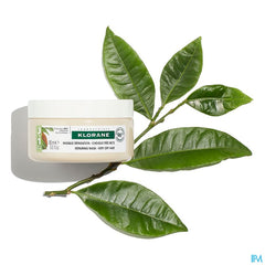 Klorane - Masque Réparation 3 en 1 au Cupuaçu BIO - Cheveux très secs