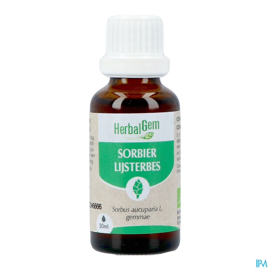 Herbalgem Sorbier Bio 30ml