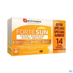 EXPERT BRONZAGE