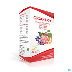 Soria Gigantiox Comp 60