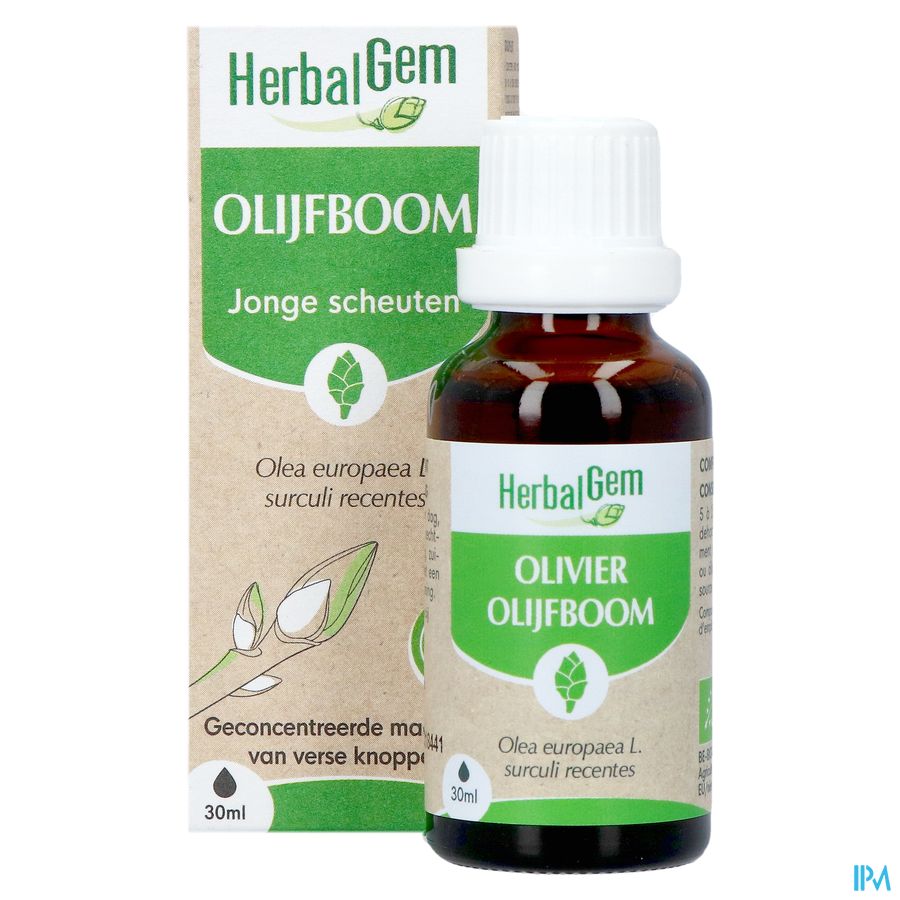 Herbalgem Olivier Bio 30ml