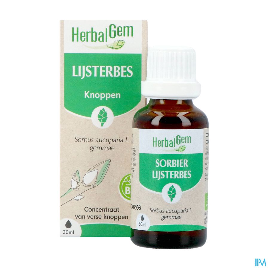 Herbalgem Sorbier Bio 30ml