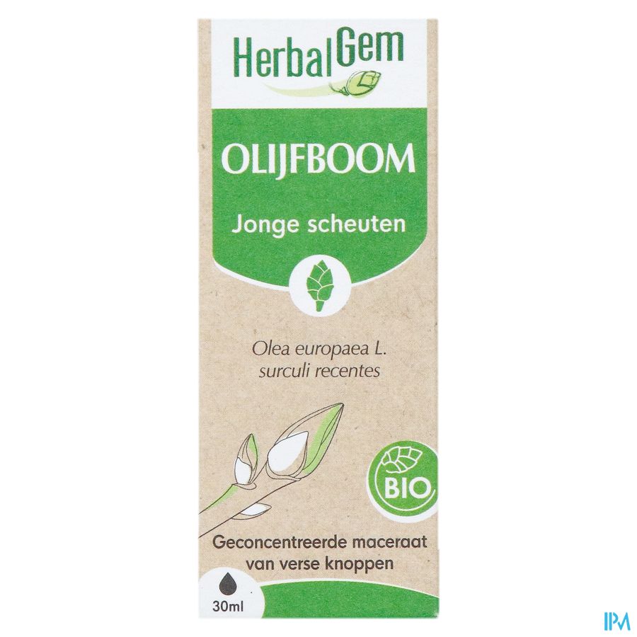 Herbalgem Olivier Bio 30ml