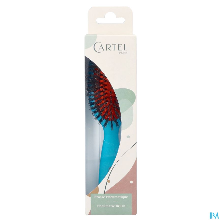 BROSSE PNEUM. SANGLIER SAC COULEUR (ASIE)