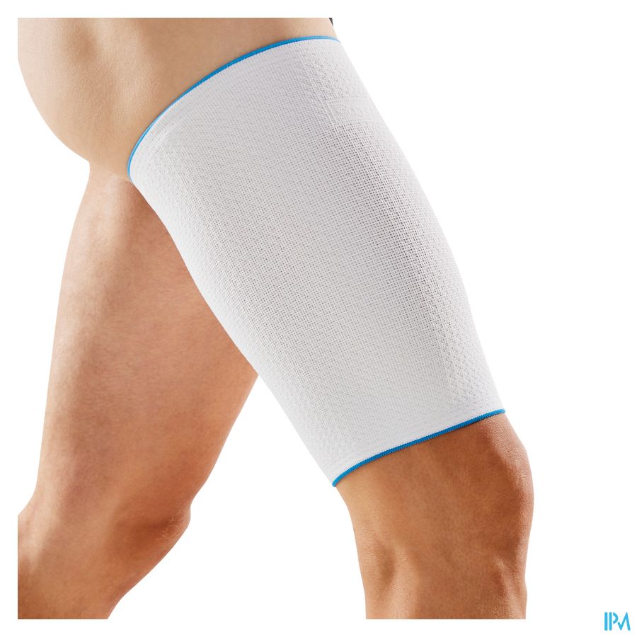 CUISSARDE BOTA PLUS BLANC \ XLARGE = 50 - 56 cm