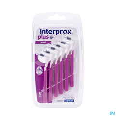 Interprox Plus Maxi Violet