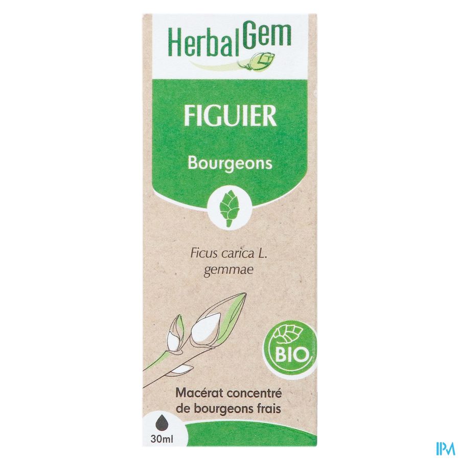 Herbalgem Figuier Bio 30ml