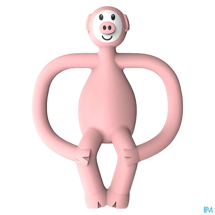 Matchstick Monkey Animal Anneau Dentition Cochon