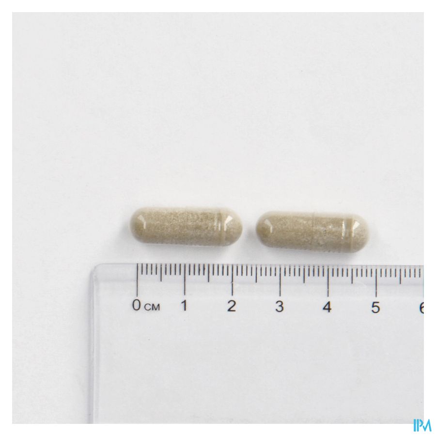 Cogniton Plus Energy La Caps 90