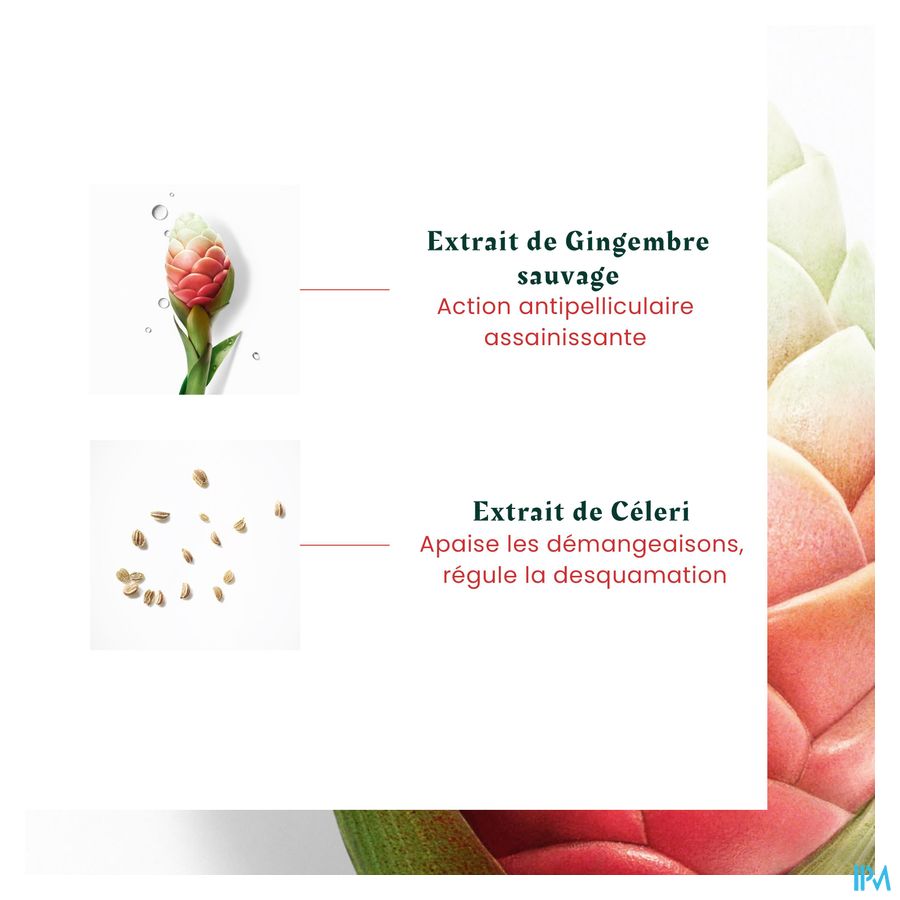René Furterer Shampooing antipelliculaire pellicules grasse, cuir chevelu gras - Shampoing anti pelliculaire - NEOPUR MICROBIOME EXPERT
