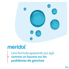 Meridol Eau Buccale Protect. Gencives&hal.fr.400ml